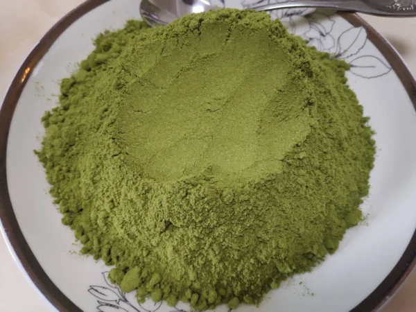 Buy San Pedro powder, Safe place to buy San Pedro powder, Where to buy San Pedro powder, Purchase San Pedro powder, Order San Pedro powder